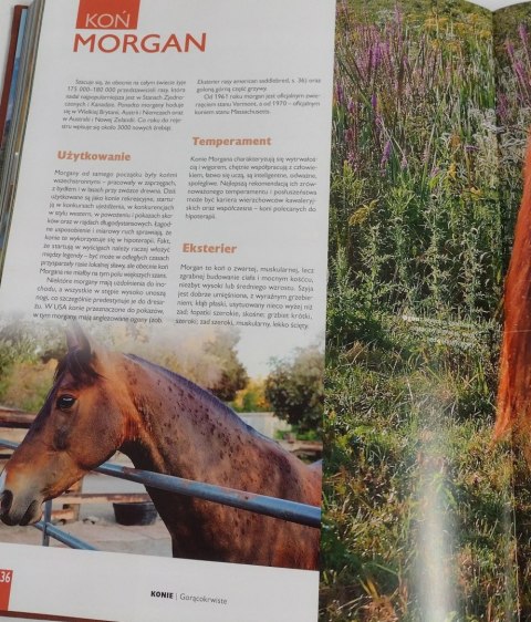 Ilustrowany leksykon koni świata