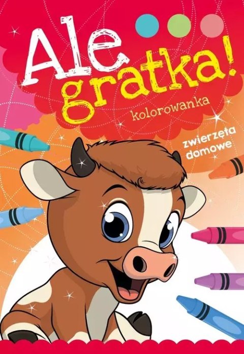 Ale gratka! Zwierzęta domowe Ale gratka! Zwierzęta domowe