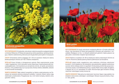 Kieszonkowy atlas kwiatów Kieszonkowy atlas kwiatów