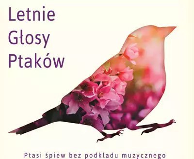 Ptasi śpiew bez podkładu muzycznego, CD Ptasi śpiew bez podkładu muzycznego, CD