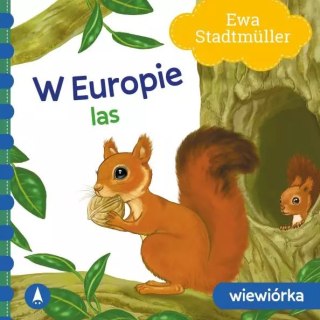 W Europie. Las. Wiewiórka