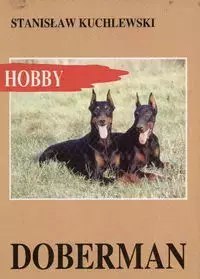 Doberman Doberman