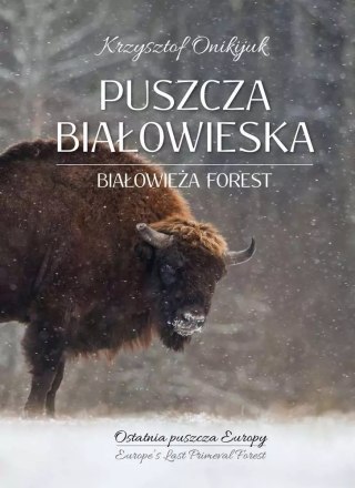 Puszcza Białowieska