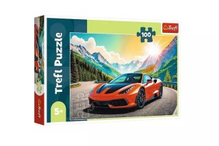 Puzzle 100 Wyścig z czasem