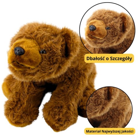 Pluszowa Maskotka Przytulanka Niedźwiedź Brązowy 28cm Pluszowa Maskotka Przytulanka Niedźwiedź Brązowy 28cm