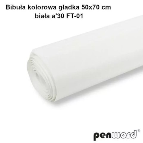 BIAŁA BIBUŁA GŁADKA DO PAKOWANIA 50x70cm 30SZT BIAŁA BIBUŁA GŁADKA DO PAKOWANIA 50x70cm 30SZT