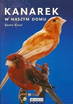 Kanarek w naszym domu