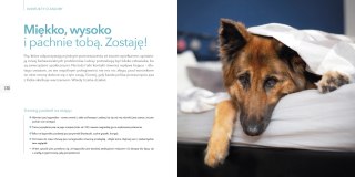 Na psa urok
