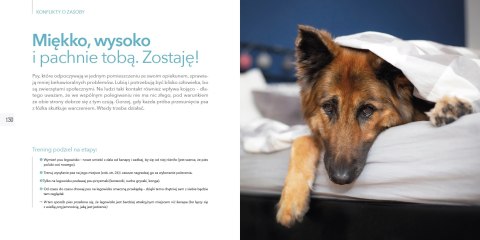 Na psa urok Na psa urok