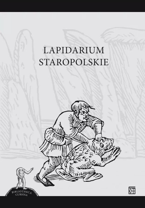 Lapidarium staropolskie Lapidarium staropolskie