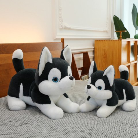 Pluszowa Maskotka Przytulanka Piesek Husky Czarno-Biały 30cm Pluszowa Maskotka Przytulanka Piesek Husky Czarno-Biały 30cm