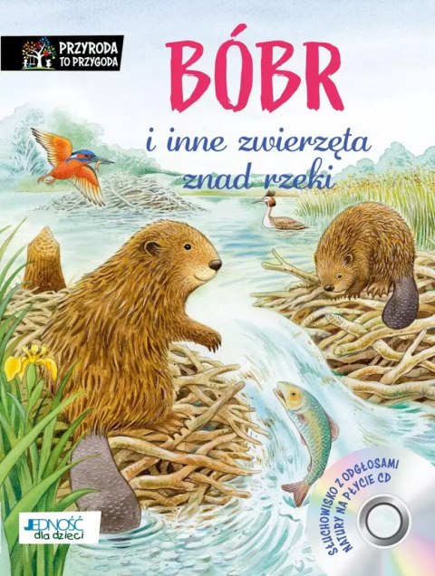 Bóbr i inne zwierzęta znad rzeki Bóbr i inne zwierzęta znad rzeki