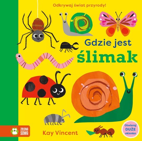 Gdzie jest ślimak Gdzie jest ślimak