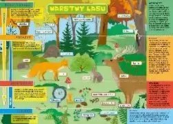 Podkładka dwustronna na biurko B3 warstwy lasu i łąka