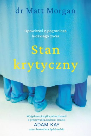 Stan krytyczny