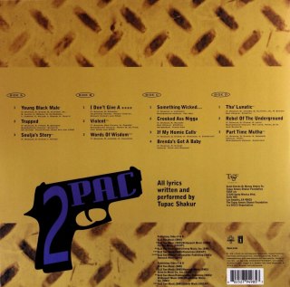 2Pacalypse Now, Winyl
