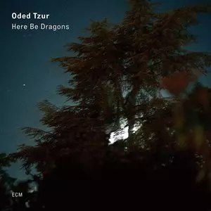 Here Be Dragons, CD Here Be Dragons, CD