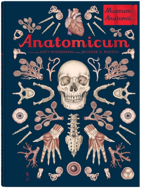 Muzeum Anatomii. Anatomicum Muzeum Anatomii. Anatomicum