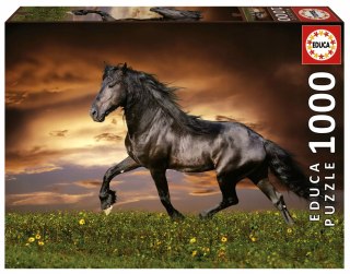 Puzzle Educa 1000 elementów Educa Puzzle 1000 el. Kłusujący koń 8412668195554