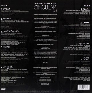 Singular Act II, Winyl