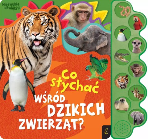 Co słychać wśród dzikich zwierząt? Co słychać wśród dzikich zwierząt?