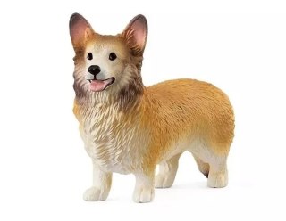 Corgi