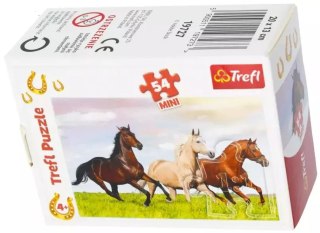 Puzzle mini 54 elementy. Świat koni, stado