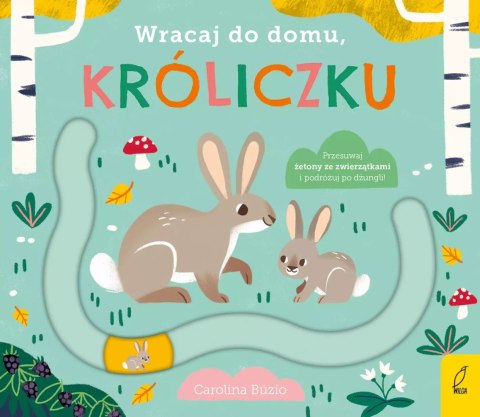 Wracaj do domu, króliczku Wracaj do domu, króliczku