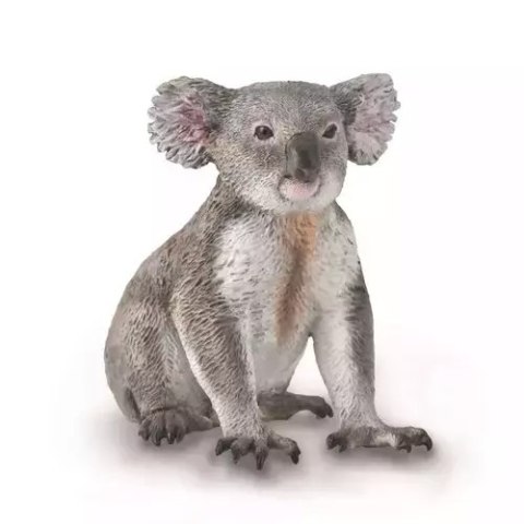 Miś Koala Miś Koala