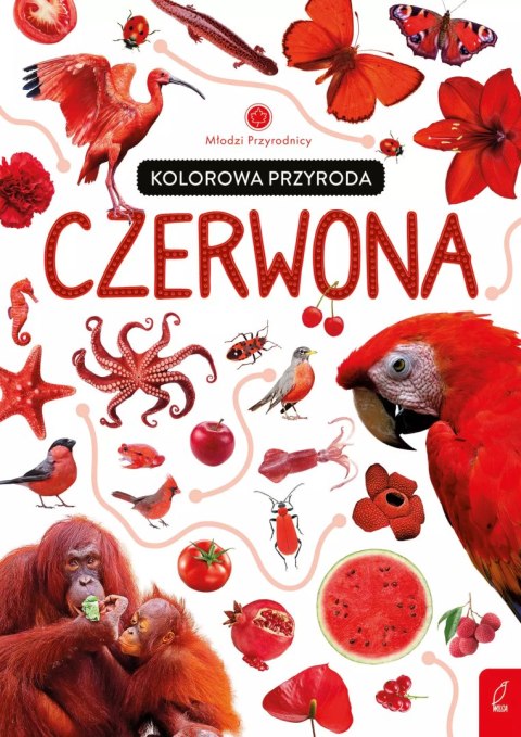 Młodzi przyrodnicy. Kolorowa przyroda. Czerwona Młodzi przyrodnicy. Kolorowa przyroda. Czerwona