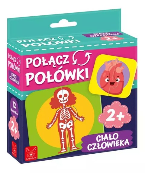 Połącz połówki Ciało Człowieka Połącz połówki Ciało Człowieka