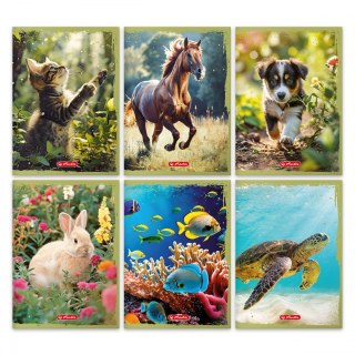 Zeszyt Herlitz Animals A5 16 Kratek Kratka Kolorowa