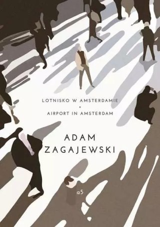 Lotnisko w Amsterdamie. Airport in Amsterdam
