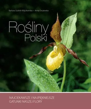 Rośliny Polski. Najciekawsze i najpiękniejsze gatunki naszej flory