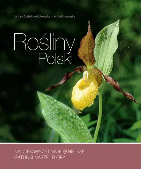 Rośliny Polski. Najciekawsze i najpiękniejsze gatunki naszej flory Rośliny Polski. Najciekawsze i najpiękniejsze gatunki naszej flory