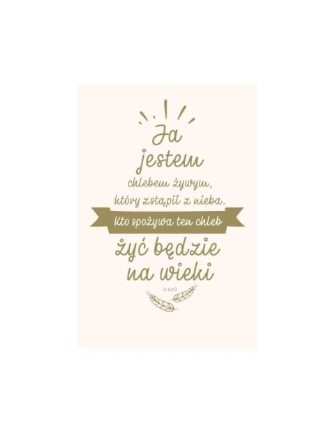 NT z infografikami A5 srebr. tł. Ja jestem chlebem NT z infografikami A5 srebr. tł. Ja jestem chlebem