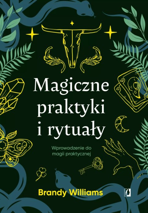 Magiczne praktyki i rytuały. Wprowadzenie do magii praktycznej Magiczne praktyki i rytuały. Wprowadzenie do magii praktycznej