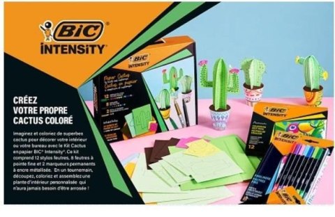 Zestaw Intensity Paper Cactus BIC Zestaw Intensity Paper Cactus BIC