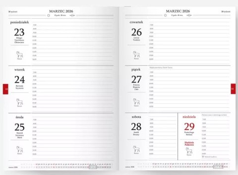 Kalendarz Pedagoga B6 2025-2026 tygodniowy Salsa, niebieskie kwiaty Kalendarz Pedagoga B6 2025-2026 tygodniowy Salsa, niebieskie kwiaty