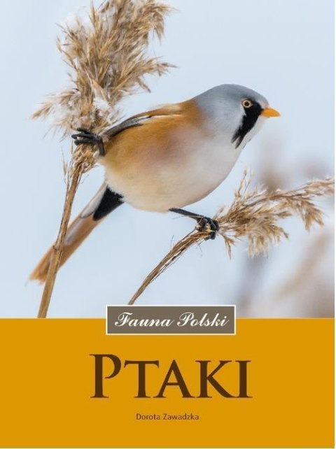 Ptaki. Fauna Polski Ptaki. Fauna Polski