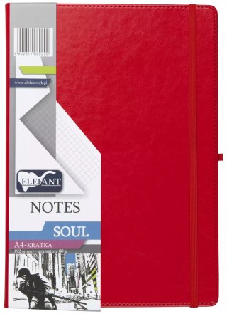 Soul Notes A4 kratka czerwony