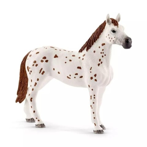 Horse Club. SLH42433. Zestaw treningowy, rasa Appaloosa