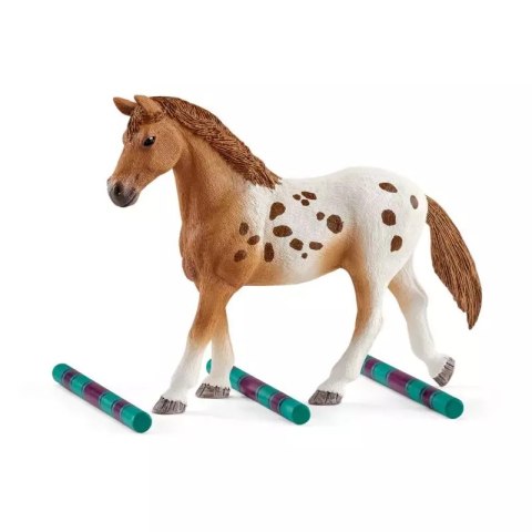 Horse Club. SLH42433. Zestaw treningowy, rasa Appaloosa
