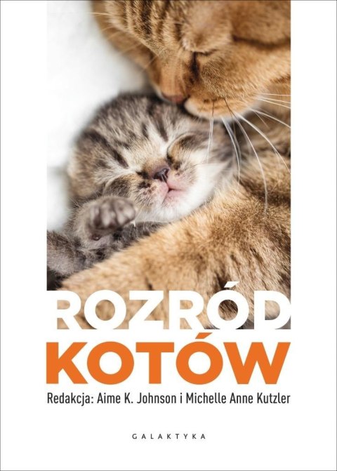 Rozród kotów Rozród kotów