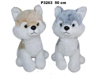 Husky 50cm MIX
