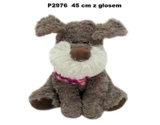 Pies z głosem 45cm