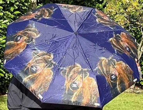Parasolka Krowa Parasolka Krowa