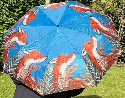 Parasolka Lis Parasolka Lis