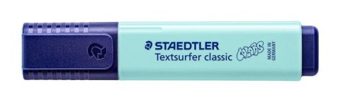 Zakreślacz Classic Colors mietowy pastel (10szt) Zakreślacz Classic Colors mietowy pastel (10szt)