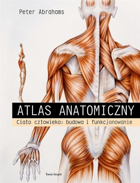Atlas anatomiczny. Ciało człowieka: budowa.. Atlas anatomiczny. Ciało człowieka: budowa..